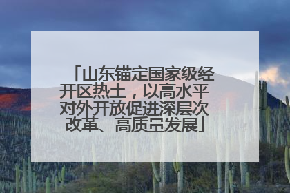 山东锚定国家级经开区热土，以高水平对外开放促进深层次改革、高质量发展