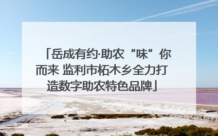 岳成有约·助农“味”你而来 监利市柘木乡全力打造数字助农特色品牌
