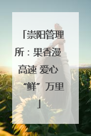 崇阳管理所：果香漫高速 爱心“鲜”万里