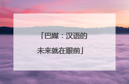 巴媒：汉语的未来就在眼前