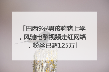 巴西9岁男孩骑猪上学，风驰电掣视频走红网络，粉丝已超125万