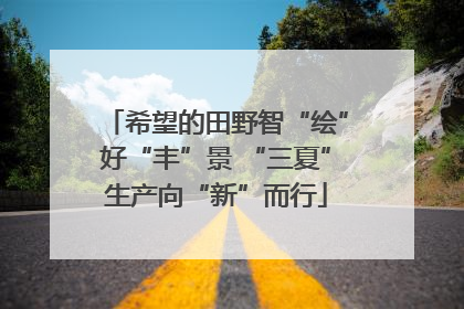 希望的田野智“绘”好“丰”景 “三夏”生产向“新”而行