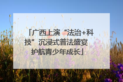 广西上演“法治+科技”沉浸式普法盛宴 护航青少年成长