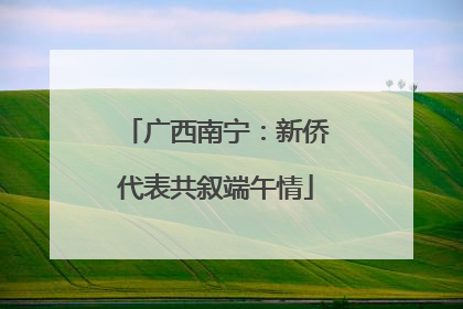 广西南宁：新侨代表共叙端午情