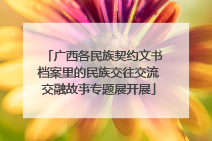 广西各民族契约文书档案里的民族交往交流交融故事专题展开展