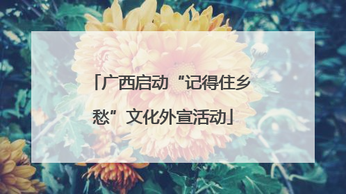 广西启动“记得住乡愁”文化外宣活动
