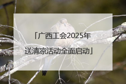 广西工会2025年送清凉活动全面启动