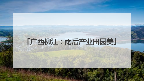 广西柳江：雨后产业田园美