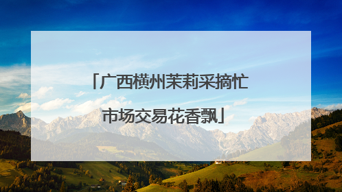 广西横州茉莉采摘忙 市场交易花香飘