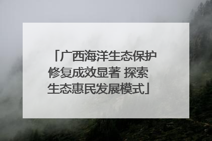 广西海洋生态保护修复成效显著 探索生态惠民发展模式