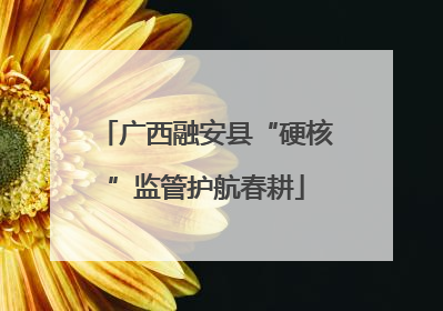 广西融安县“硬核”监管护航春耕