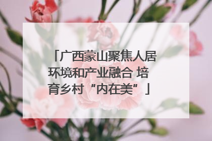 广西蒙山聚焦人居环境和产业融合 培育乡村“内在美”