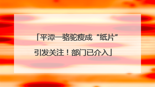 平潭一骆驼瘦成“纸片”引发关注！部门已介入
