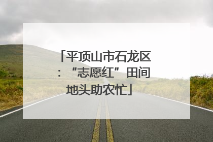 平顶山市石龙区：“志愿红”田间地头助农忙