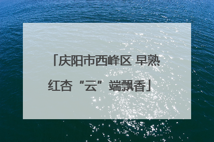 庆阳市西峰区 早熟红杏“云”端飘香