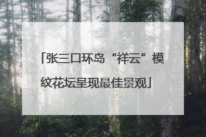 张三口环岛“祥云”模纹花坛呈现最佳景观