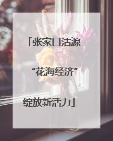 张家口沽源“花海经济”绽放新活力