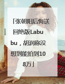 张朝阳后悔送回绝版Labubu，胡润称没想到能拍到108万