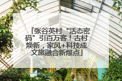 张谷英村“活态密码”引百万客！古村焕新，家风+科技成文旅融合新爆点