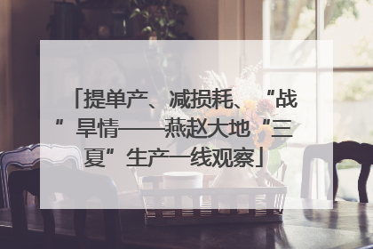 提单产、减损耗、“战”旱情——燕赵大地“三夏”生产一线观察