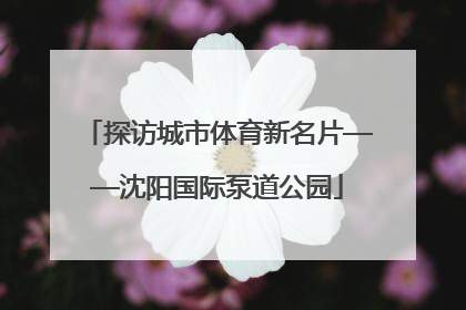 探访城市体育新名片——沈阳国际泵道公园