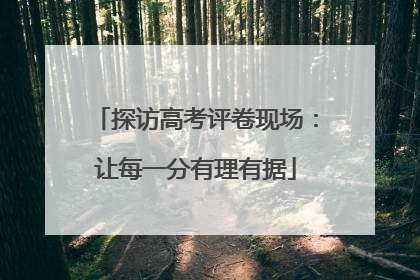 探访高考评卷现场：让每一分有理有据