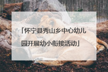怀宁县秀山乡中心幼儿园开展幼小衔接活动