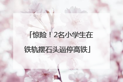 惊险！2名小学生在铁轨摆石头逼停高铁