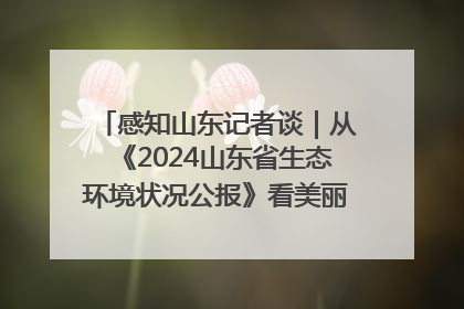 感知山东记者谈｜从《2024山东省生态环境状况公报》看美丽山东建设的“成绩单”与“任务书”