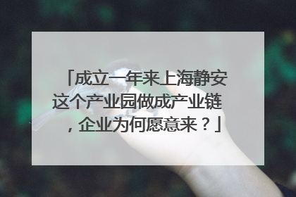 成立一年来上海静安这个产业园做成产业链，企业为何愿意来？