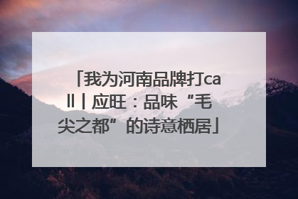 我为河南品牌打call丨应旺：品味“毛尖之都”的诗意栖居