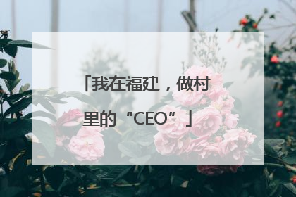 我在福建，做村里的“CEO”