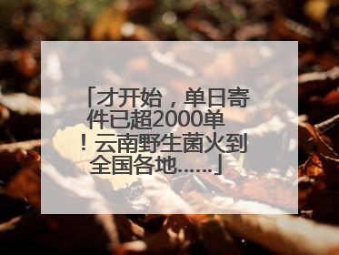 才开始，单日寄件已超2000单！云南野生菌火到全国各地……
