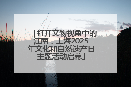 打开文物视角中的江南，上海2025年文化和自然遗产日主题活动启幕