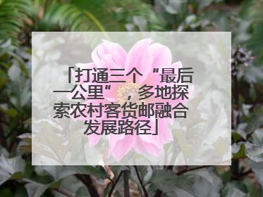 打通三个“最后一公里”，多地探索农村客货邮融合发展路径