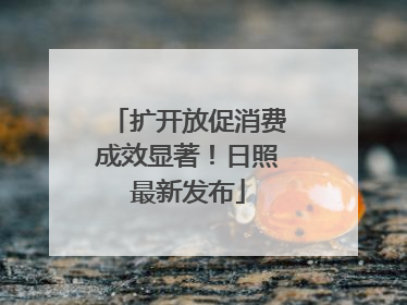 扩开放促消费成效显著！日照最新发布