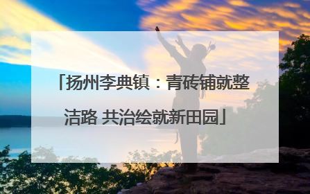 扬州李典镇：青砖铺就整洁路 共治绘就新田园