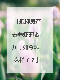 抵押房产去养虾的老兵，如今怎么样了？