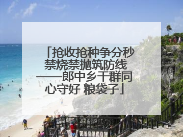 抢收抢种争分秒 禁烧禁抛筑防线——郎中乡干群同心守好 粮袋子