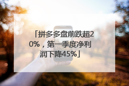 拼多多盘前跌超20%，第一季度净利润下降45%