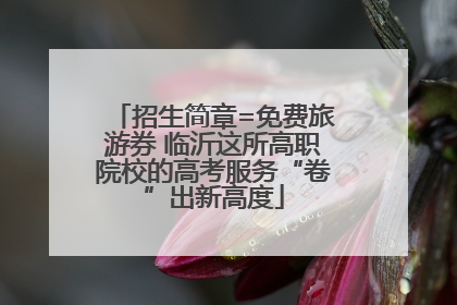 招生简章=免费旅游券 临沂这所高职院校的高考服务“卷”出新高度