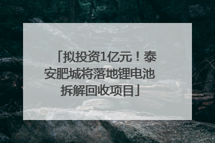 拟投资1亿元！泰安肥城将落地锂电池拆解回收项目