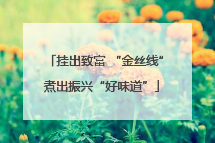 挂出致富 “金丝线” 煮出振兴“好味道”