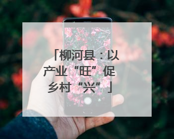柳河县：以产业“旺”促乡村“兴”