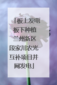 板上发电 板下种植 兰州新区段家川农光互补项目并网发电