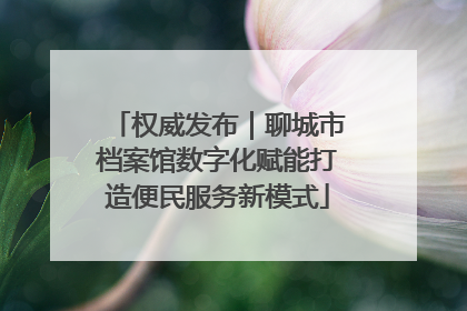 权威发布｜聊城市档案馆数字化赋能打造便民服务新模式