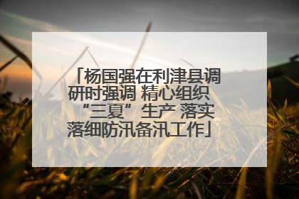 杨国强在利津县调研时强调 精心组织“三夏”生产 落实落细防汛备汛工作