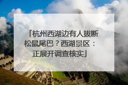 杭州西湖边有人拔断松鼠尾巴？西湖景区：正展开调查核实
