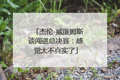 杰伦-威廉姆斯谈闯进总决赛：感觉太不真实了