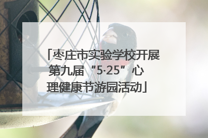 枣庄市实验学校开展第九届“5·25”心理健康节游园活动